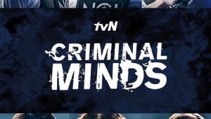 ดูซีรี่ย์ Criminal Minds Korea (2017) อ่านเกมอาชญากร Season 1 ตอนที่ 15
