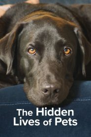ดูซีรี่ย์ The Hidden Lives of Pets (2022) ชีวิตลับสัตว์เลี้ยง EP.1-4 (จบ)