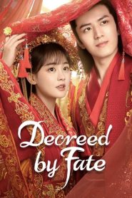 Decreed by Fate (2022) ท่านหญิง อย่าชิงหย่ากับข้า EP.1-16 (จบ)