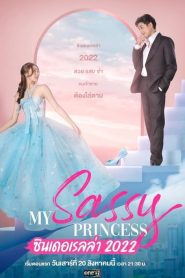 ดูซีรี่ย์ My Sassy Princess (2022) ซินเดอเรลล่า EP.1-8 (จบ)