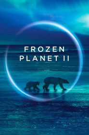 ดูซีรี่ย์ Frozen Planet 2 (2022) EP.1-6 (จบ)