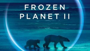 ดูซีรี่ย์ Frozen Planet 2 (2022) Season 1 ตอนที่ 5